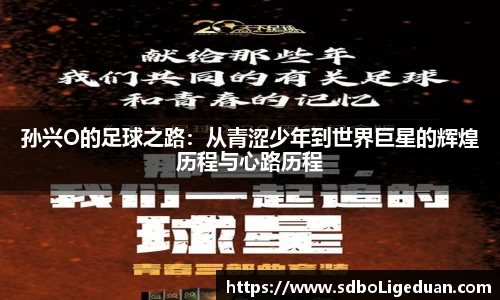 Lewin乐玩官网